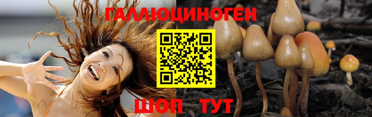 Галлюциногенные грибы Magic Shrooms  Вход с VPN  закладки  Реутов 